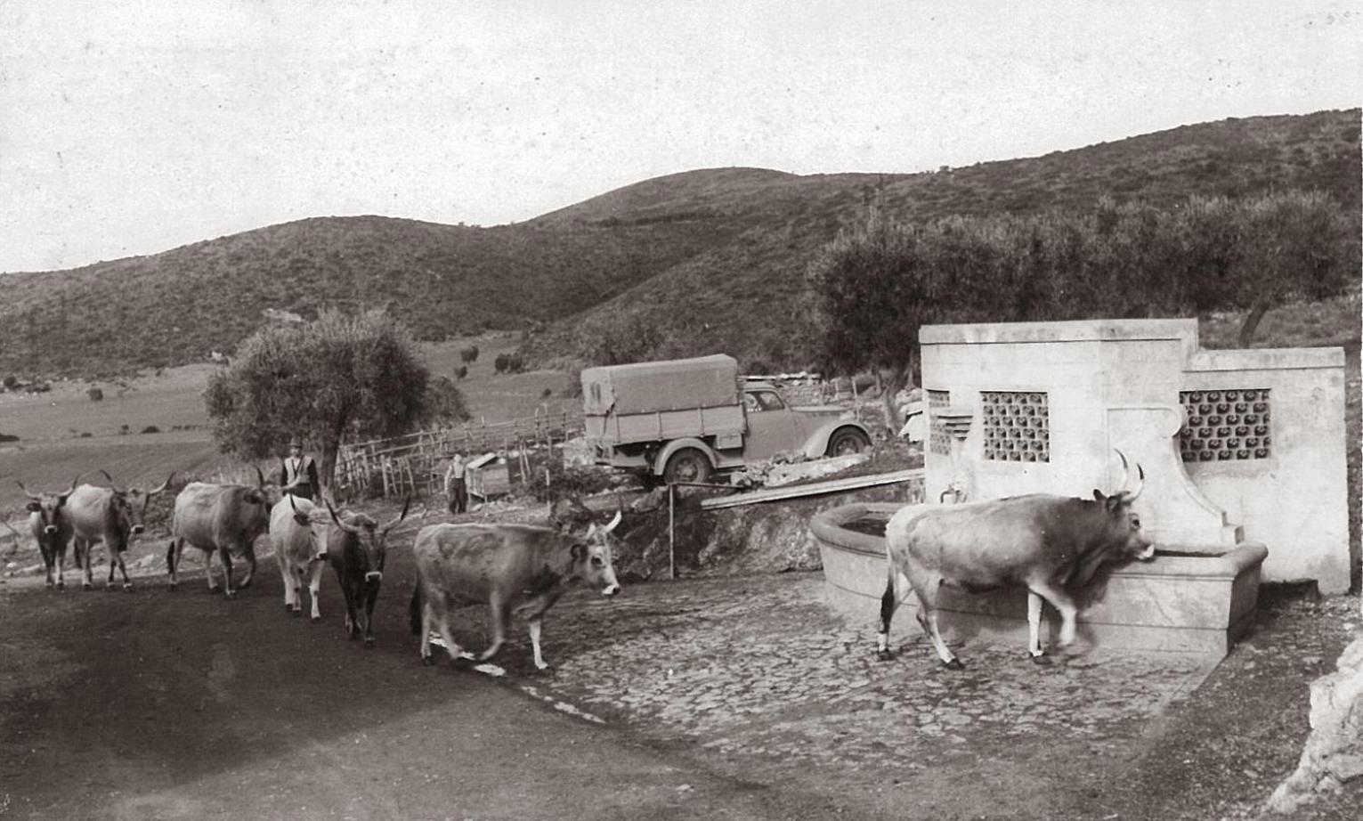 Agriturismo Grazia Ορμπετέλλο Εξωτερικό φωτογραφία