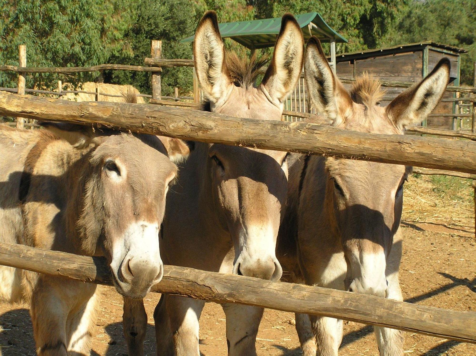 Agriturismo Grazia Ορμπετέλλο Εξωτερικό φωτογραφία