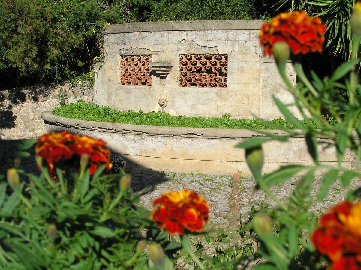 Agriturismo Grazia Ορμπετέλλο Εξωτερικό φωτογραφία
