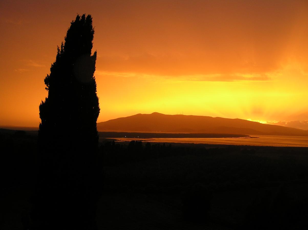 Agriturismo Grazia Ορμπετέλλο Εξωτερικό φωτογραφία