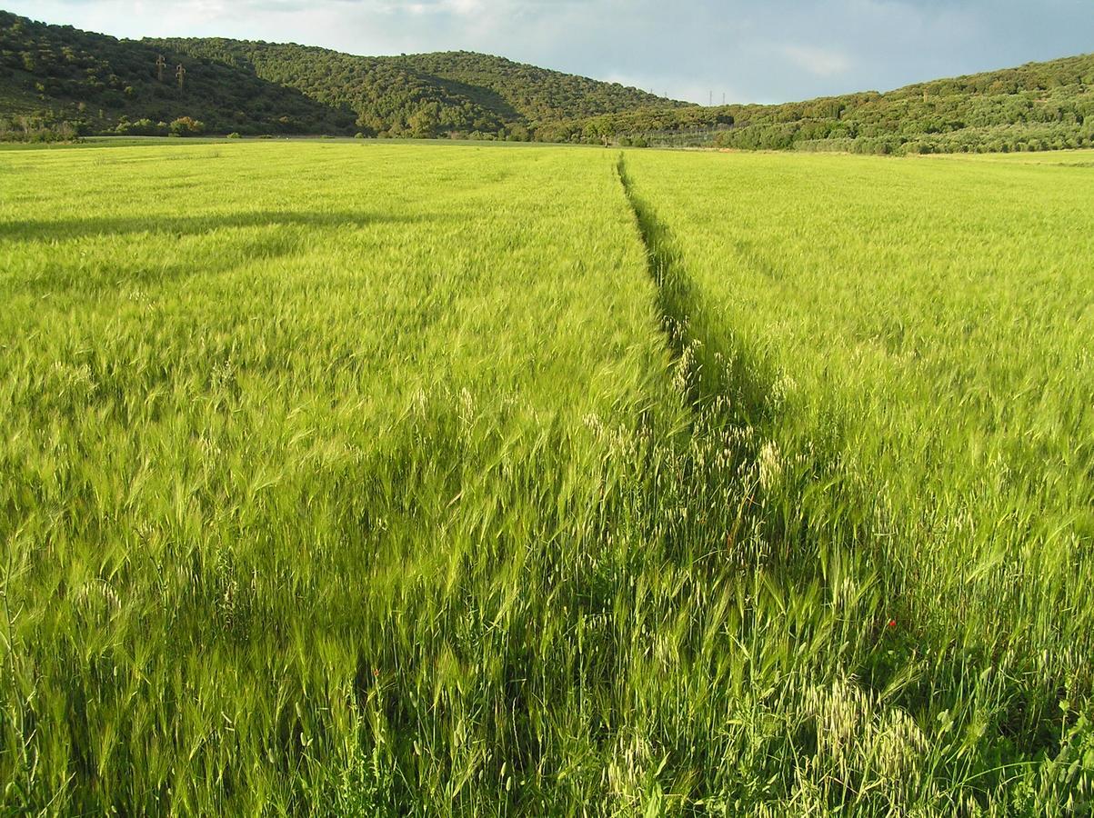 Agriturismo Grazia Ορμπετέλλο Εξωτερικό φωτογραφία