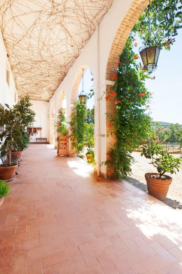 Agriturismo Grazia Ορμπετέλλο Εξωτερικό φωτογραφία